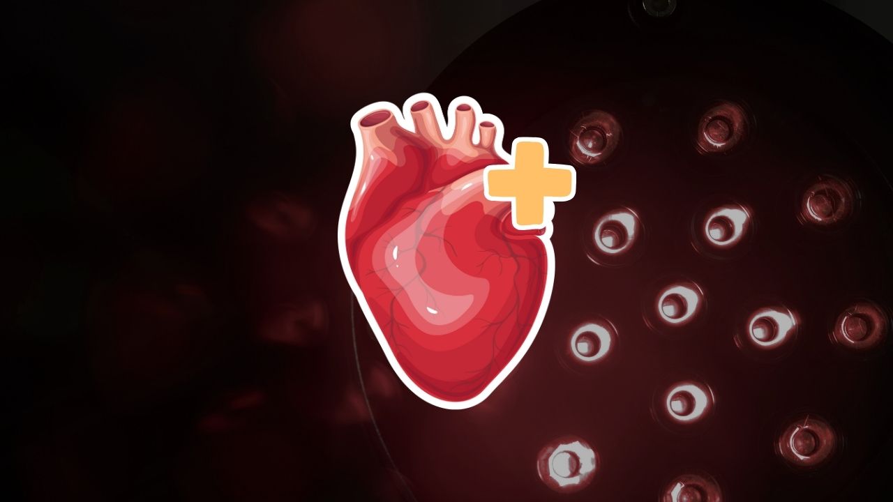 infrared sauna for cardiovascular health