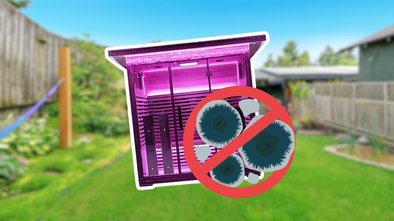 how to remove molds from sauna